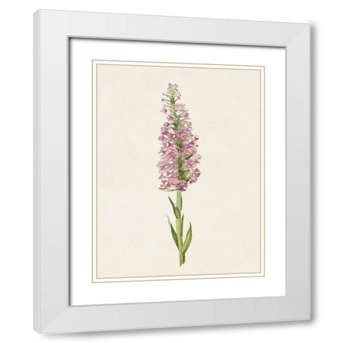 Mauve Garden Flowers I White Modern Wood Framed Art Print with Double Matting by Unknown