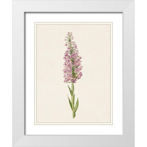 Mauve Garden Flowers I White Modern Wood Framed Art Print with Double Matting by Unknown