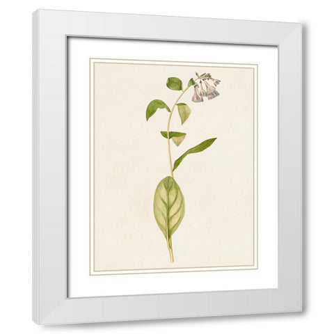 Mauve Garden Flowers IV White Modern Wood Framed Art Print with Double Matting by Unknown