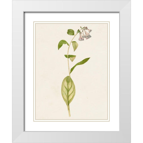 Mauve Garden Flowers IV White Modern Wood Framed Art Print with Double Matting by Unknown