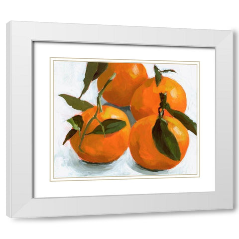 Citrus Grouping II White Modern Wood Framed Art Print with Double Matting by Barnes, Victoria