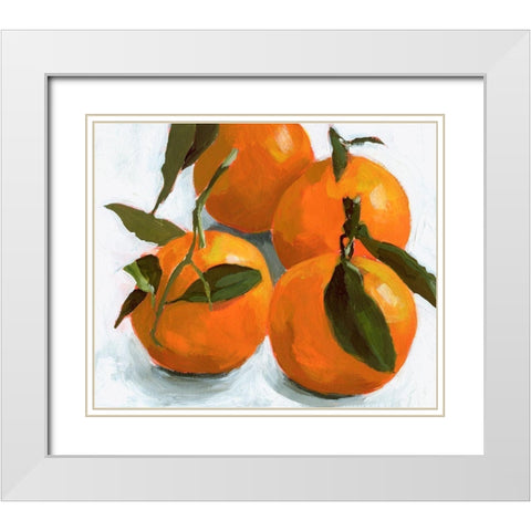Citrus Grouping II White Modern Wood Framed Art Print with Double Matting by Barnes, Victoria
