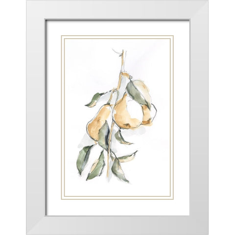Watercolor Fruit Contour I White Modern Wood Framed Art Print with Double Matting by Harper, Ethan