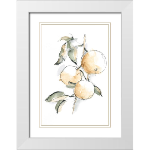 Watercolor Fruit Contour II White Modern Wood Framed Art Print with Double Matting by Harper, Ethan