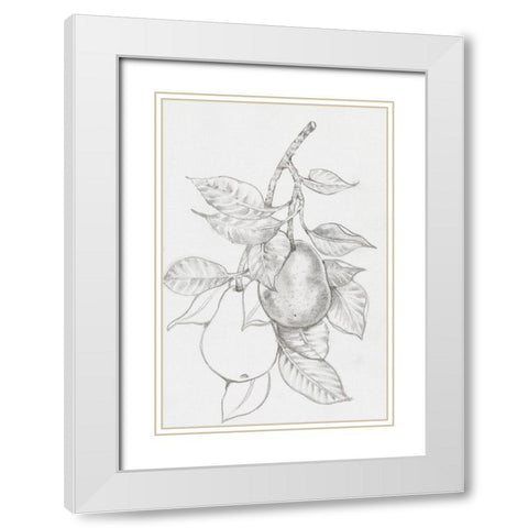 Fruit-Bearing Branch III White Modern Wood Framed Art Print with Double Matting by OToole, Tim