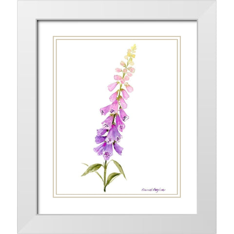 Annies Foxglove I White Modern Wood Framed Art Print with Double Matting by Popp, Grace