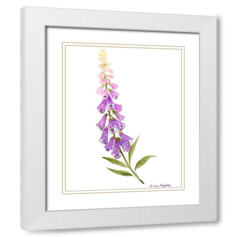 Annies Foxglove II White Modern Wood Framed Art Print with Double Matting by Popp, Grace