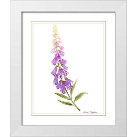 Annies Foxglove II White Modern Wood Framed Art Print with Double Matting by Popp, Grace