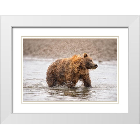 Photography Study Shake it Off White Modern Wood Framed Art Print with Double Matting by PHBurchett