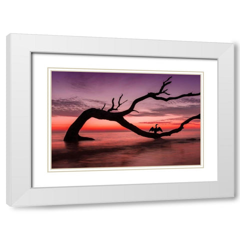 Photography Study Sunset Beach White Modern Wood Framed Art Print with Double Matting by PHBurchett