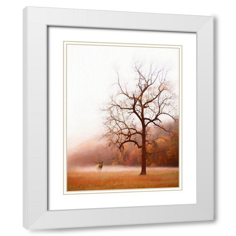 Photography Study Elk in the Mist White Modern Wood Framed Art Print with Double Matting by PHBurchett