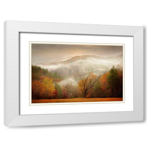 Photography Study Autumn Mist White Modern Wood Framed Art Print with Double Matting by PHBurchett