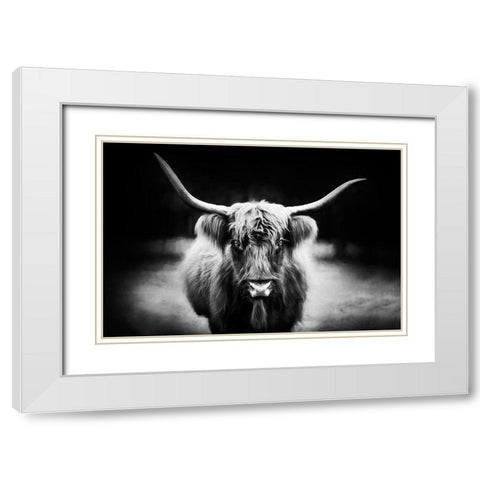 Photography Study Highland Cattle White Modern Wood Framed Art Print with Double Matting by PHBurchett