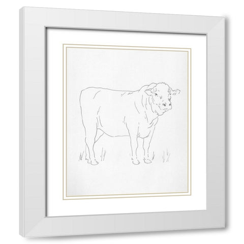 Limousin Cattle I White Modern Wood Framed Art Print with Double Matting by Green, Jacob