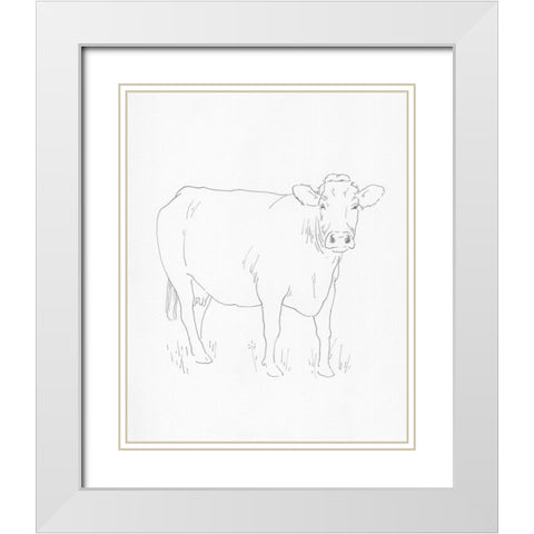 Limousin Cattle III White Modern Wood Framed Art Print with Double Matting by Green, Jacob