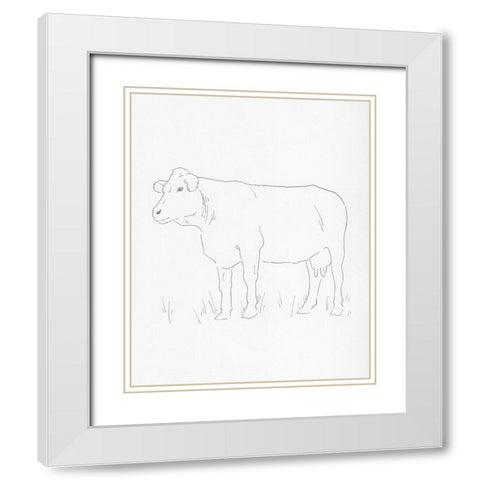 Limousin Cattle IV White Modern Wood Framed Art Print with Double Matting by Green, Jacob