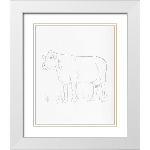 Limousin Cattle IV White Modern Wood Framed Art Print with Double Matting by Green, Jacob