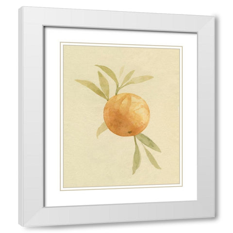 Dappled Oranges I White Modern Wood Framed Art Print with Double Matting by Caroline, Emma