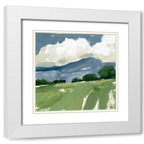 Spring Meadow Study IV White Modern Wood Framed Art Print with Double Matting by Barnes, Victoria