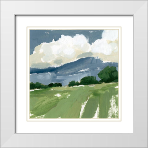 Spring Meadow Study IV White Modern Wood Framed Art Print with Double Matting by Barnes, Victoria