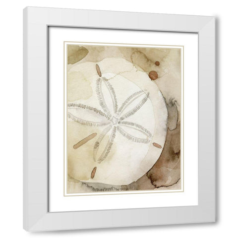 Dry Sand Dollar I White Modern Wood Framed Art Print with Double Matting by Popp, Grace