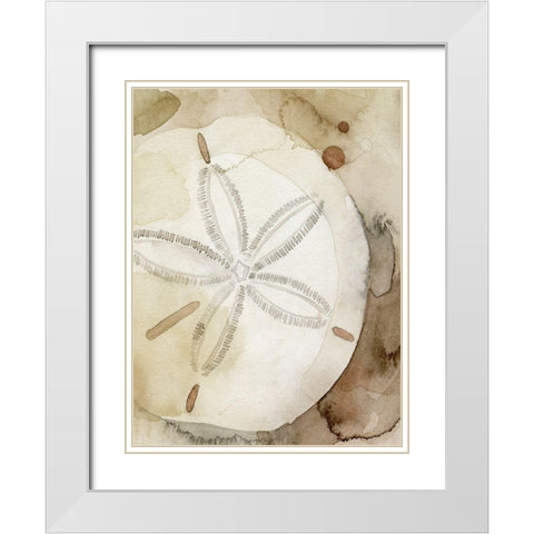 Dry Sand Dollar I White Modern Wood Framed Art Print with Double Matting by Popp, Grace