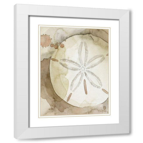 Dry Sand Dollar II White Modern Wood Framed Art Print with Double Matting by Popp, Grace