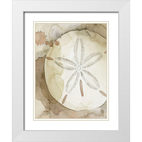 Dry Sand Dollar II White Modern Wood Framed Art Print with Double Matting by Popp, Grace