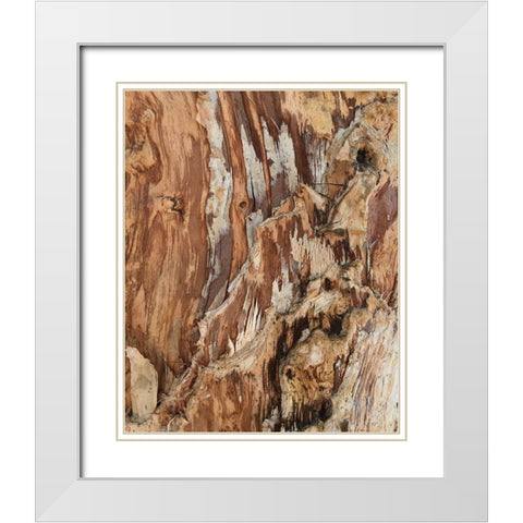Tree Texture Triptych I White Modern Wood Framed Art Print with Double Matting by Stelfox, Norm