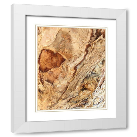 Tree Texture Triptych II White Modern Wood Framed Art Print with Double Matting by Stelfox, Norm