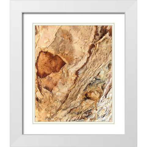Tree Texture Triptych II White Modern Wood Framed Art Print with Double Matting by Stelfox, Norm