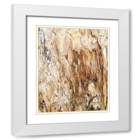 Tree Texture Triptych III White Modern Wood Framed Art Print with Double Matting by Stelfox, Norm