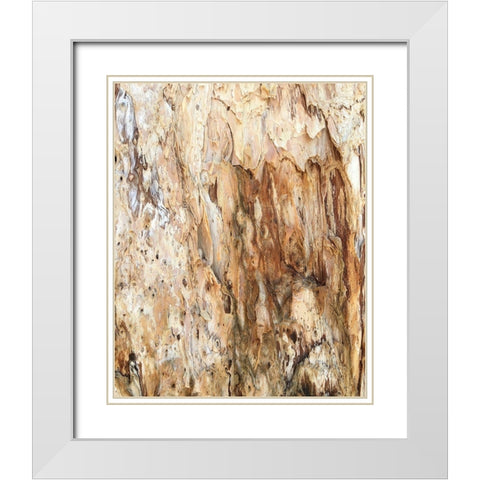 Tree Texture Triptych III White Modern Wood Framed Art Print with Double Matting by Stelfox, Norm