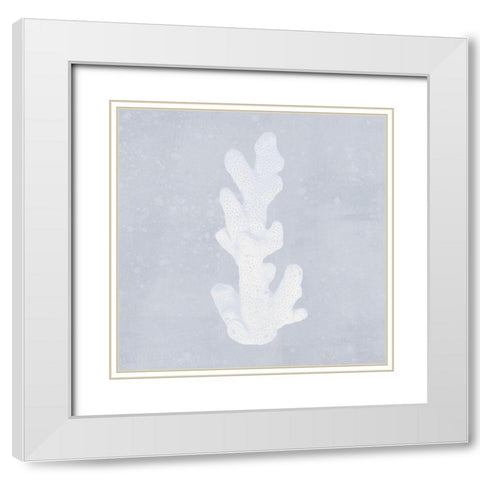 Tide Pool Treasures IV White Modern Wood Framed Art Print with Double Matting by Barnes, Victoria