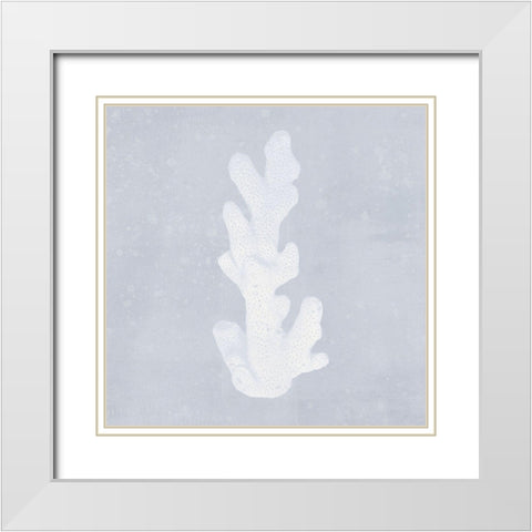 Tide Pool Treasures IV White Modern Wood Framed Art Print with Double Matting by Barnes, Victoria