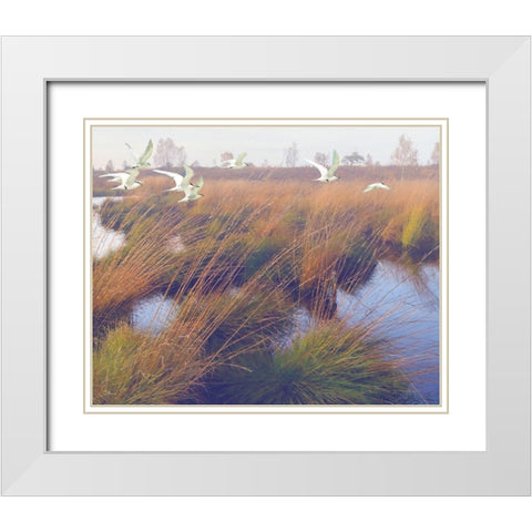 Marshland Hues II White Modern Wood Framed Art Print with Double Matting by Hunziker, Steve
