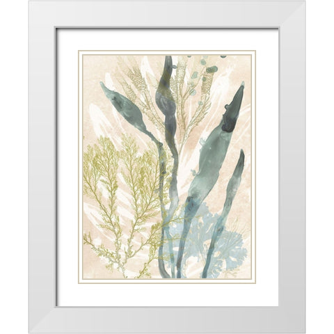 Vintage Ocean Jewels I White Modern Wood Framed Art Print with Double Matting by Vess, June Erica