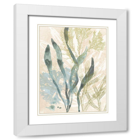 Vintage Ocean Jewels II White Modern Wood Framed Art Print with Double Matting by Vess, June Erica