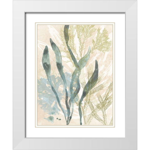 Vintage Ocean Jewels II White Modern Wood Framed Art Print with Double Matting by Vess, June Erica