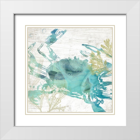 Jeweled Crustacean I White Modern Wood Framed Art Print with Double Matting by Vess, June Erica