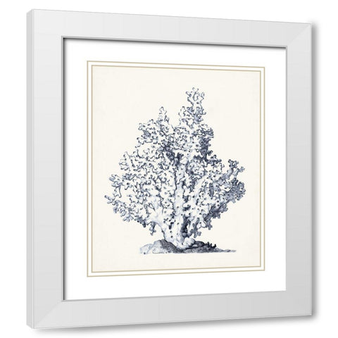 Blue Antique Coral I White Modern Wood Framed Art Print with Double Matting by Vision Studio