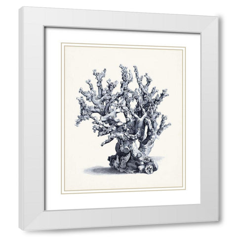 Blue Antique Coral II White Modern Wood Framed Art Print with Double Matting by Vision Studio