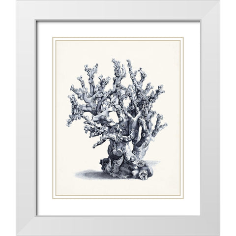 Blue Antique Coral II White Modern Wood Framed Art Print with Double Matting by Vision Studio