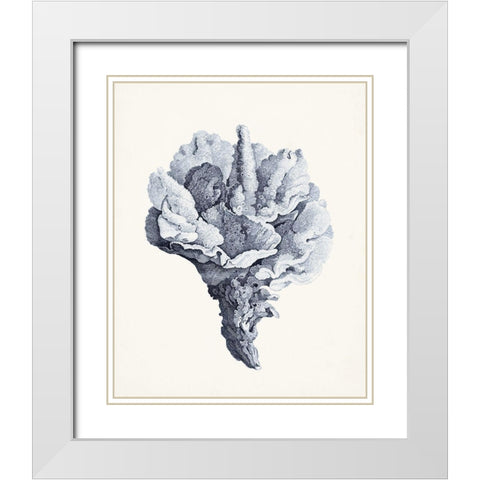 Blue Antique Coral III White Modern Wood Framed Art Print with Double Matting by Vision Studio