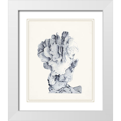 Blue Antique Coral IV White Modern Wood Framed Art Print with Double Matting by Vision Studio