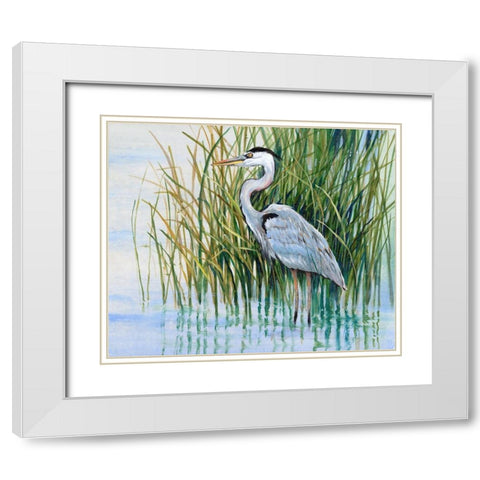 Heron in the Marsh II White Modern Wood Framed Art Print with Double Matting by OToole, Tim