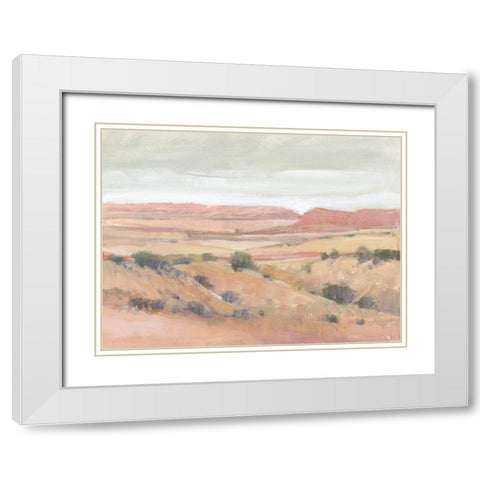 Southwest Landscape I White Modern Wood Framed Art Print with Double Matting by OToole, Tim