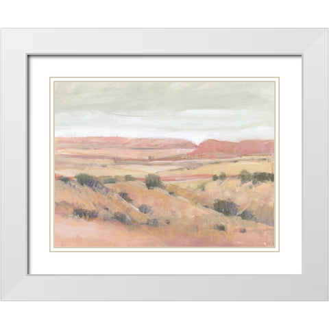 Southwest Landscape I White Modern Wood Framed Art Print with Double Matting by OToole, Tim