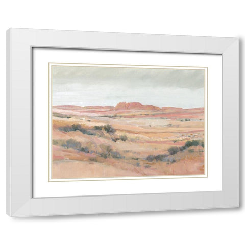 Southwest Landscape II White Modern Wood Framed Art Print with Double Matting by OToole, Tim