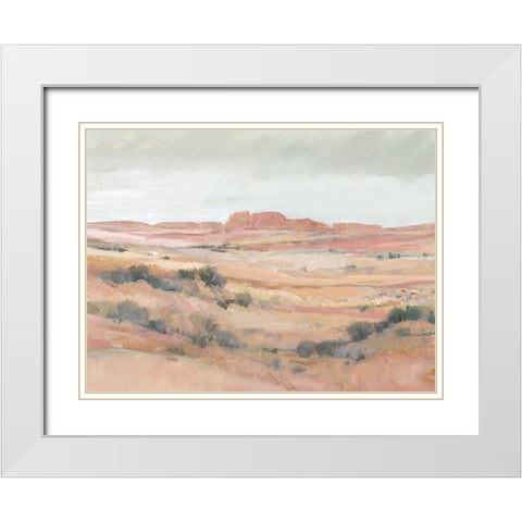 Southwest Landscape II White Modern Wood Framed Art Print with Double Matting by OToole, Tim